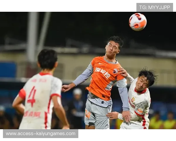 中超球队是否具备抗风险的商业结构,中超背后的企业 中超球队是否具备抗风险的商业结构,中超背后的企业